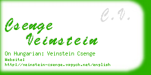 csenge veinstein business card